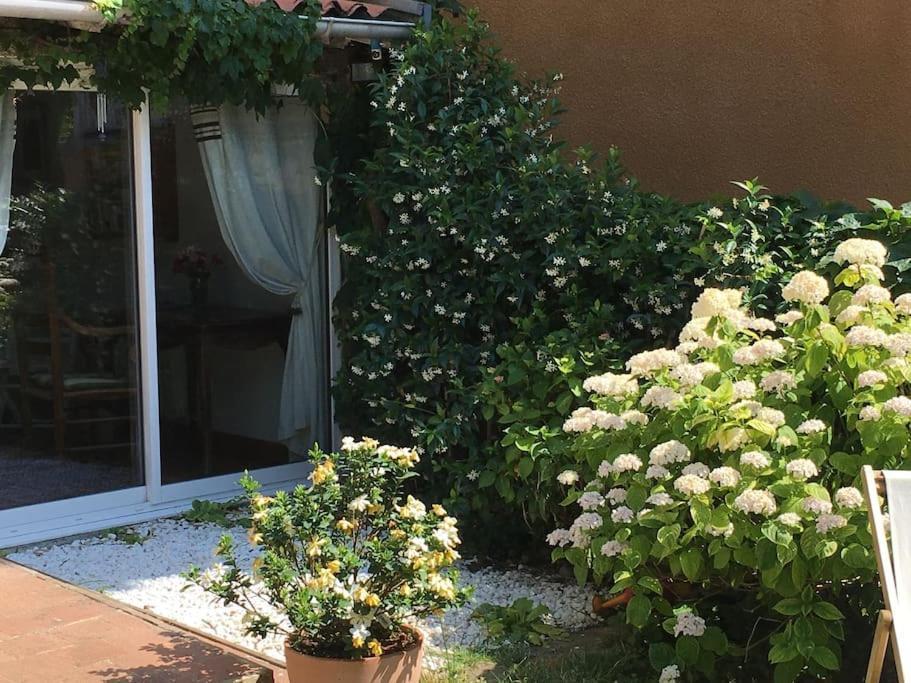 Studio Close Fourviere Very Quiet & Small Terrace Apartamento Lyon Exterior foto